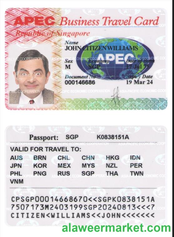 SINGAPORE business travel card